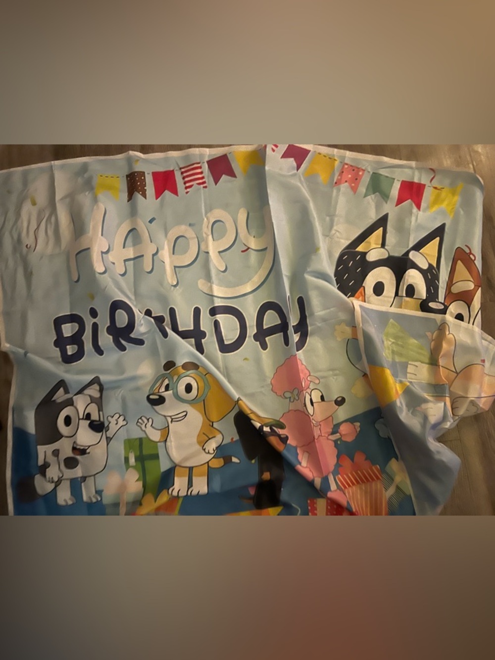 Disney bluey fabric happy birthday banner and / or photo op backdrop